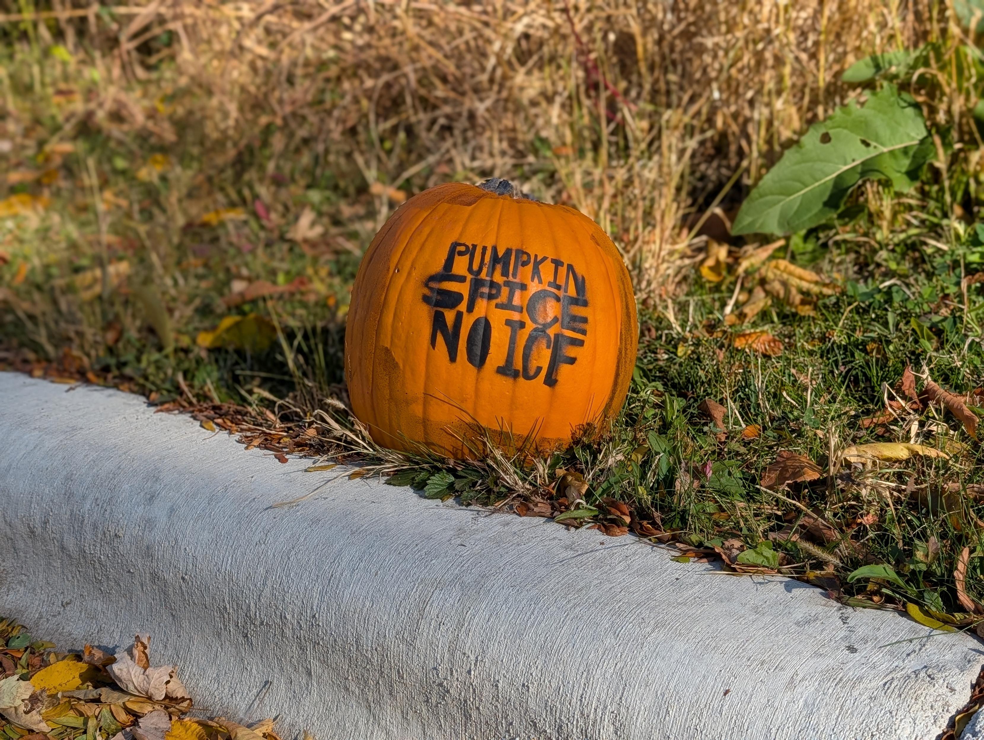 A pumpkin with "PUMPKIN SPICE NO ICE" written on it rests on grass.
