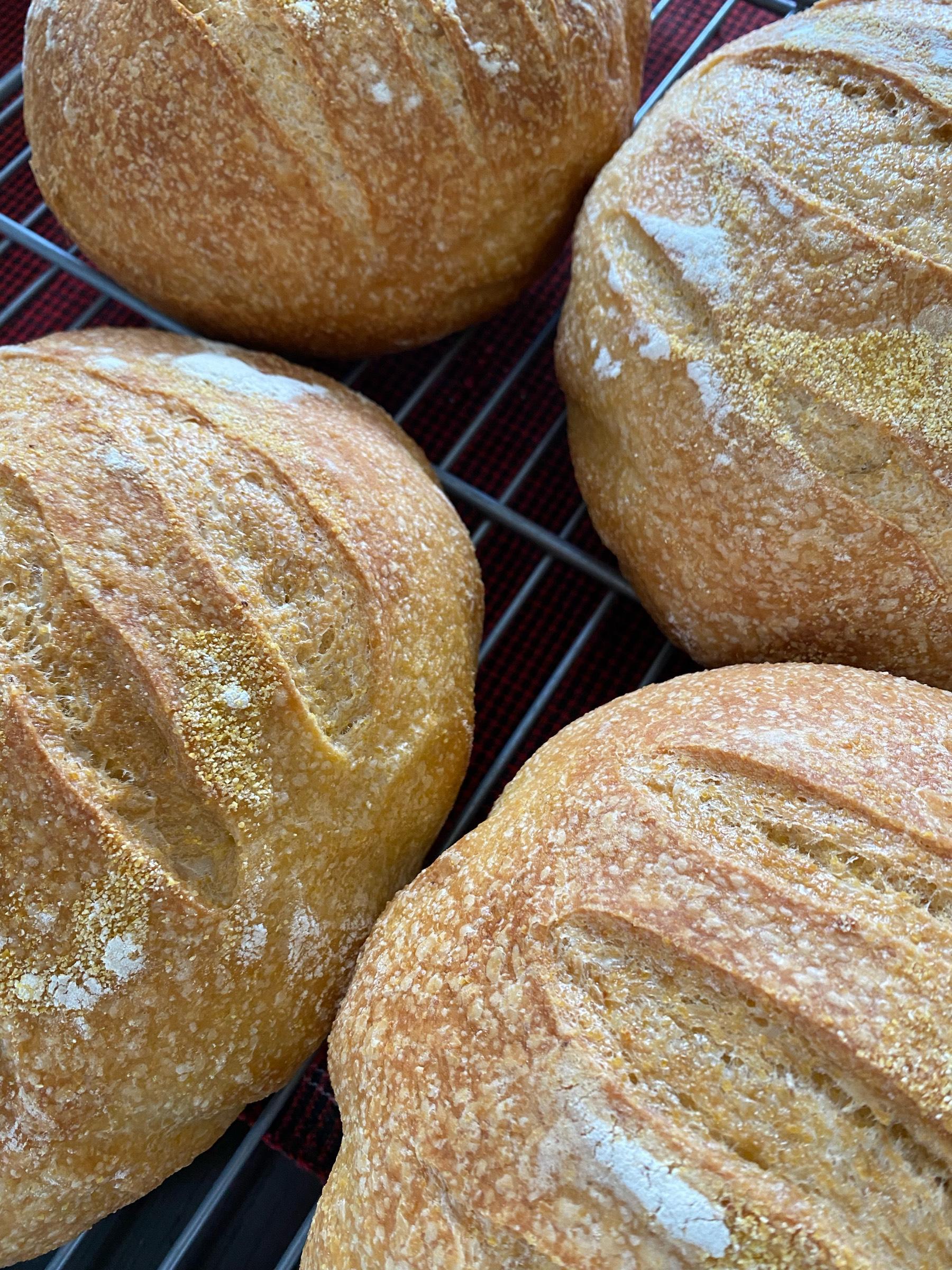 A slightly delayed post of last week’s bake. Four loaves of my Corn-ish bread; 25% Bramante maize and some olive oil ...