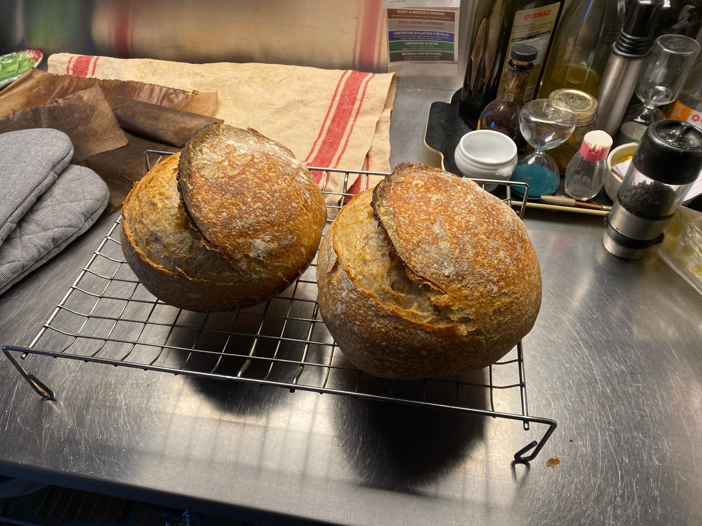 Fresh bread for Christmas morning.#food #bread