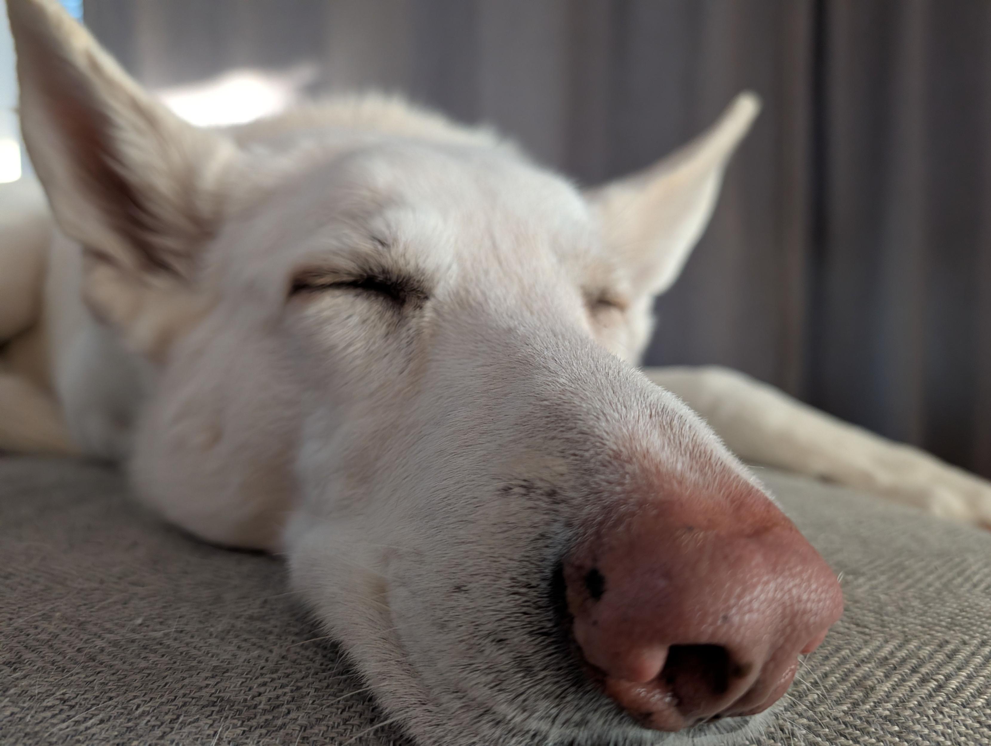 No alt text provided