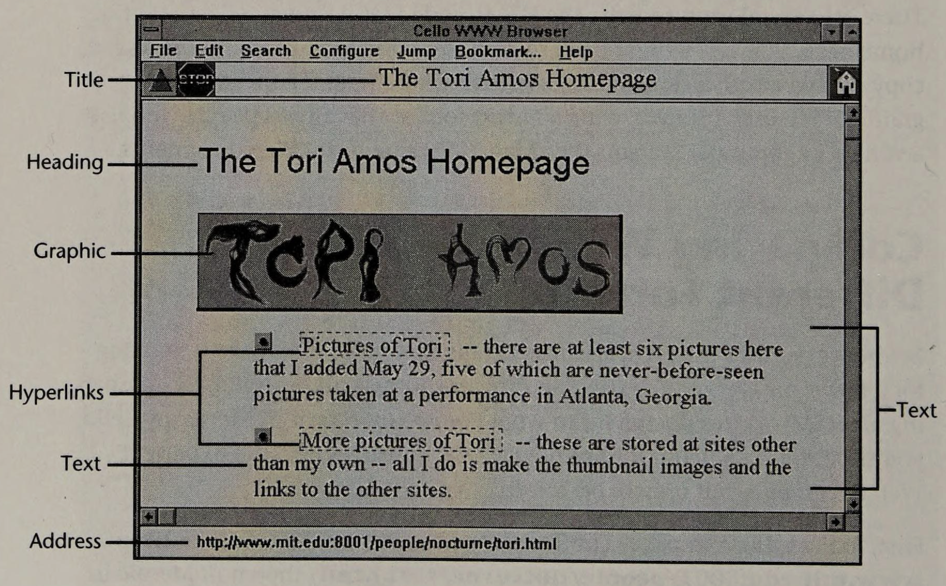 The Tori Amos Homepage, a 1994 fan page, in the Cello browser