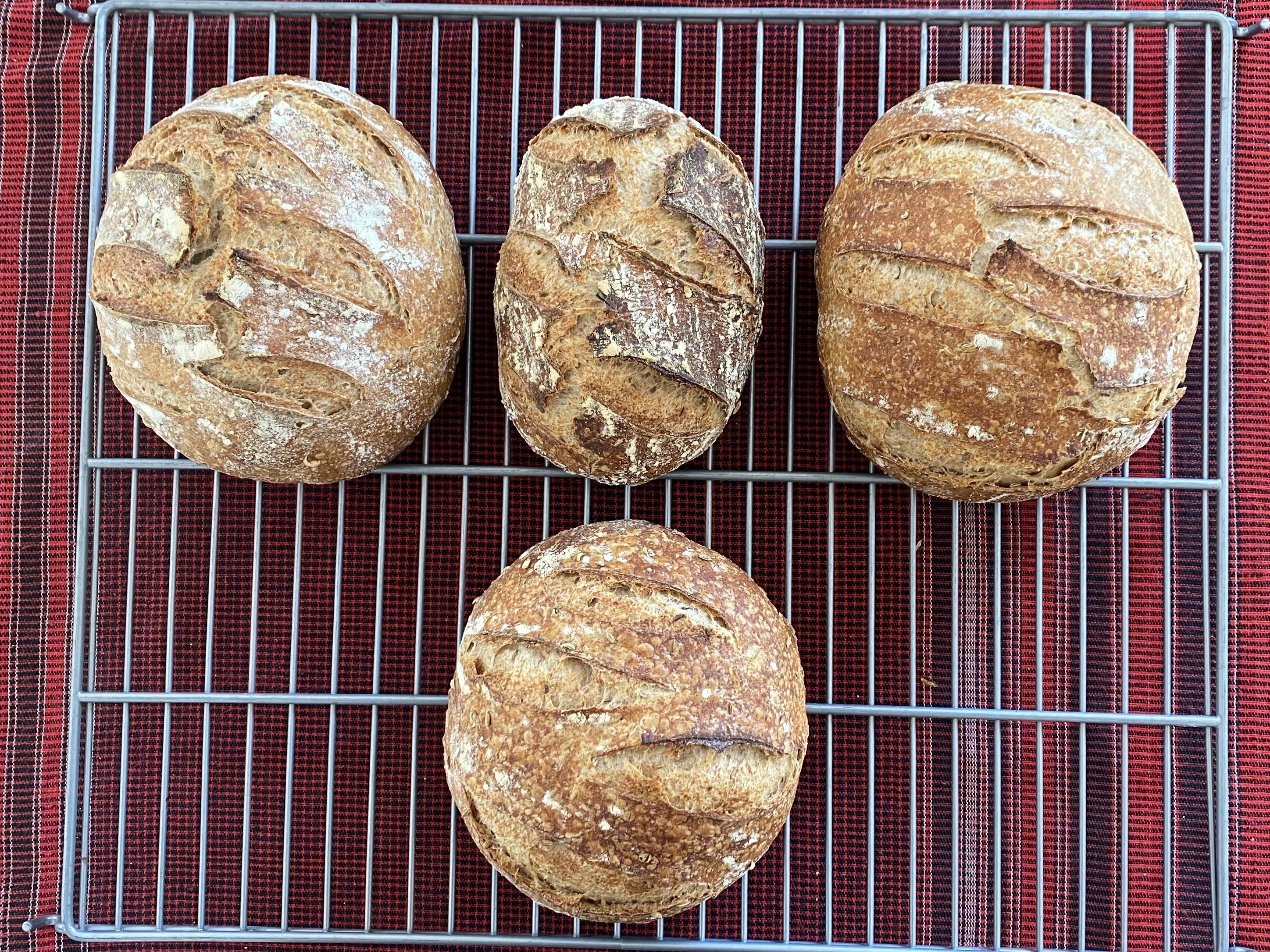 Today’s bake was an absolute corker. Could perhaps have used another bit of proofing, but lovely despite that. 50% wh...