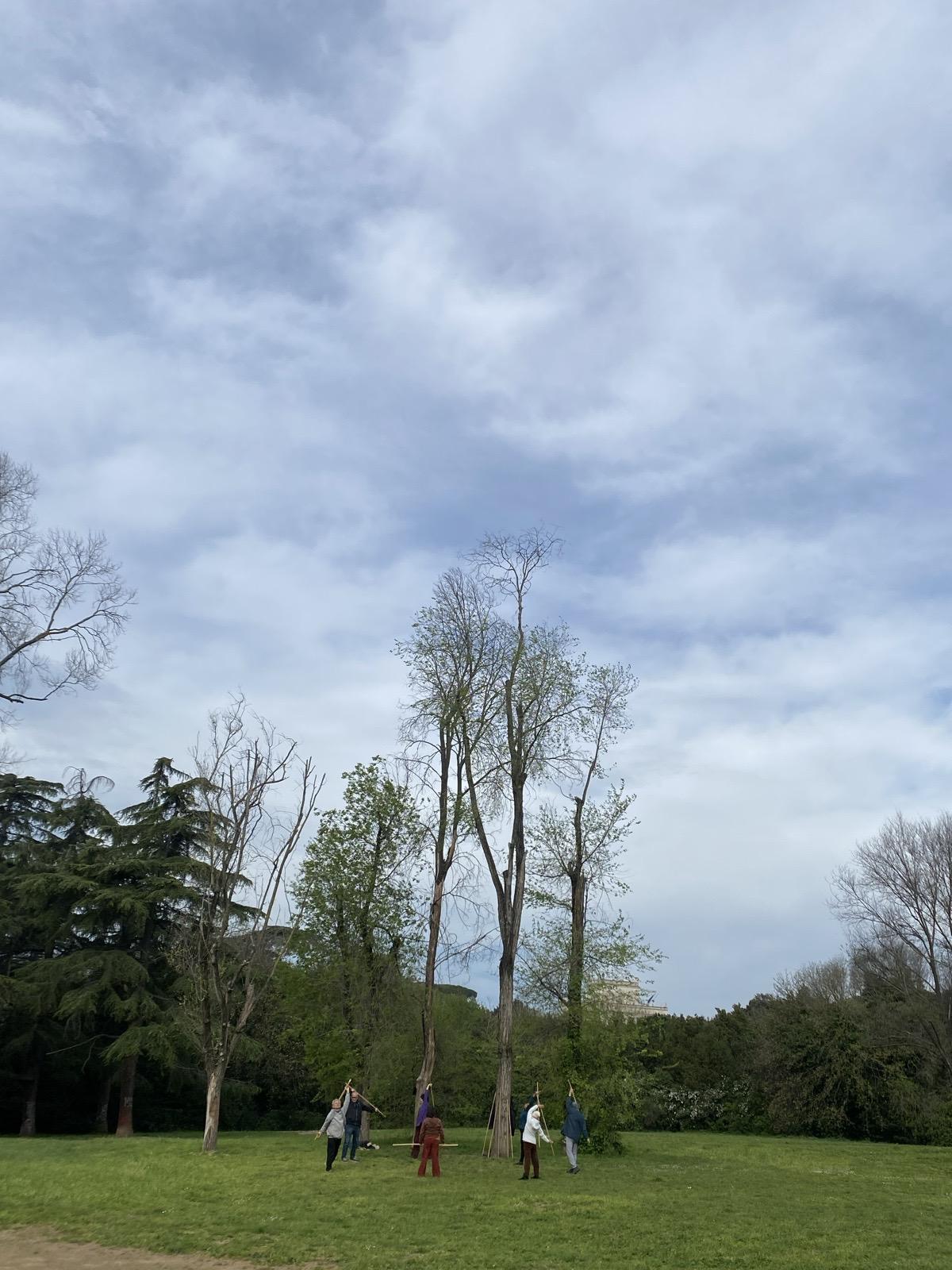 On the ground arms flap.Tree high parakeets gaze down.Qi Gong in the park.#haiku