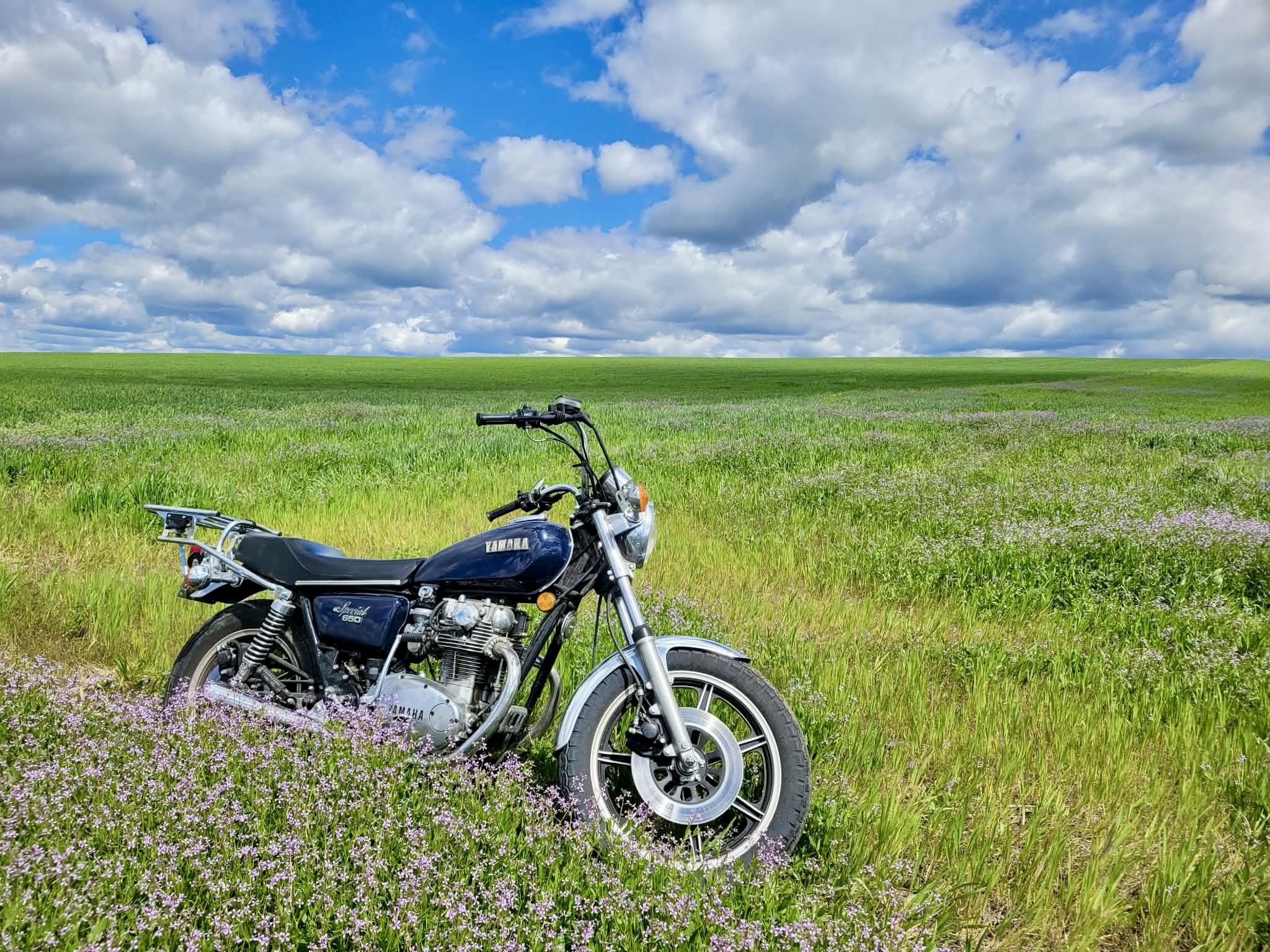 A blue motorcycle sitting in a field of pink wild flowers. The sky is mostly cloudy but there are patches of blue.