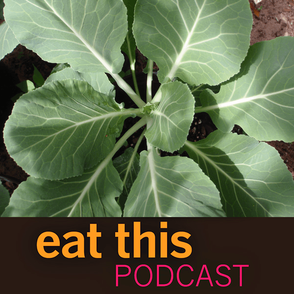 New episode: Mysterious Collards in MoroccoCollard greens are strongly associated with Black foodways in the US South...