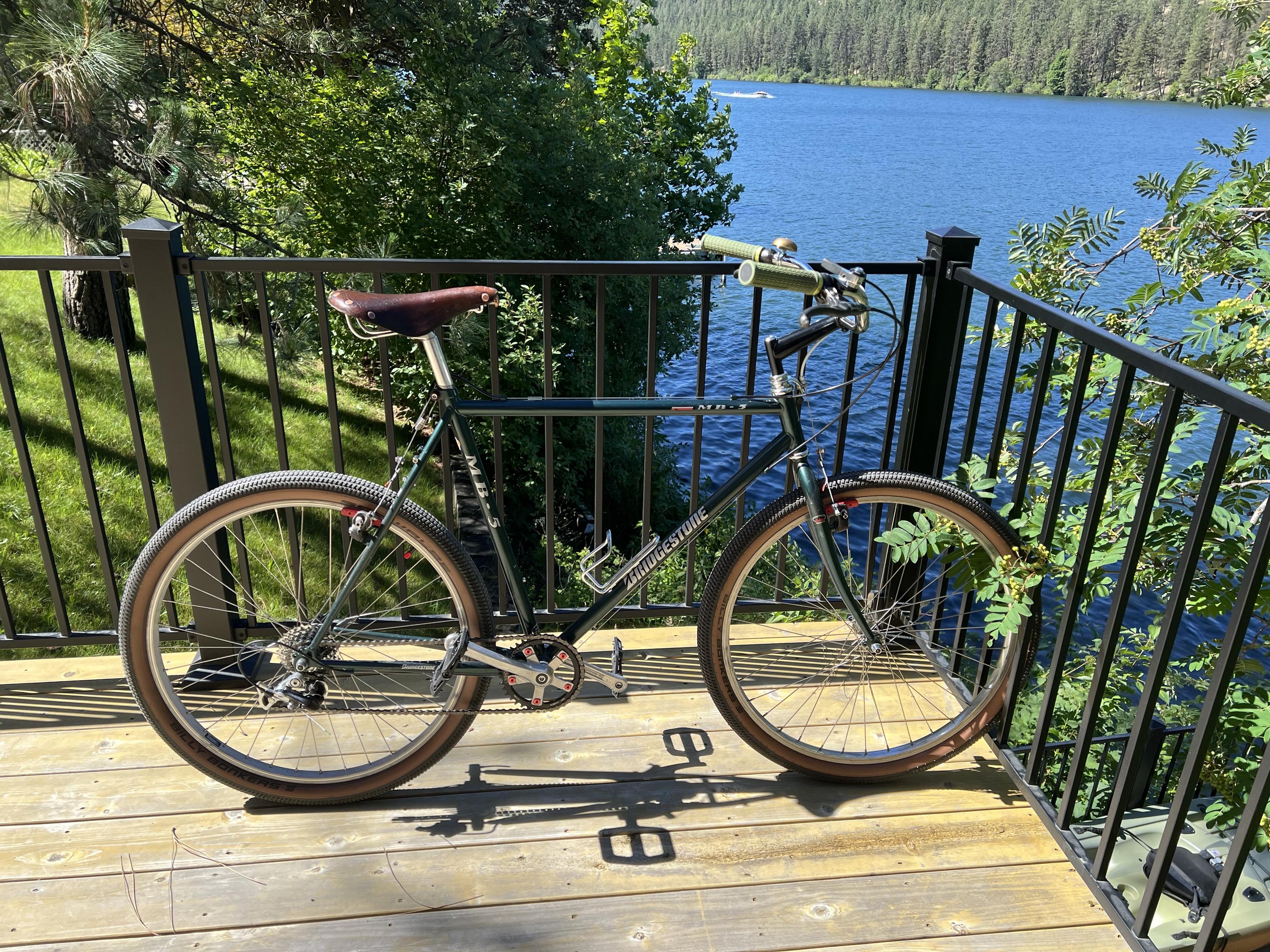 A green bicycle with a leather saddle and tan wall tires leans on some black railing. In the background a lake is visible with trees lining the far shoreline.