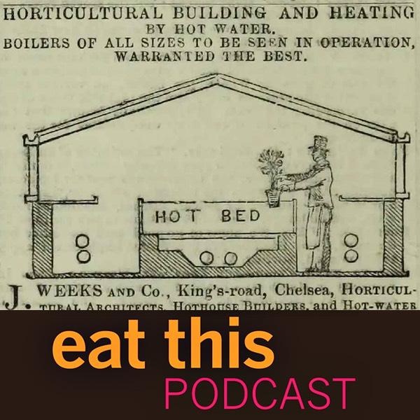 New episode: The Tomato in EnglandThe first tomato plants in England were noted around 1590, but there aren’t many re...