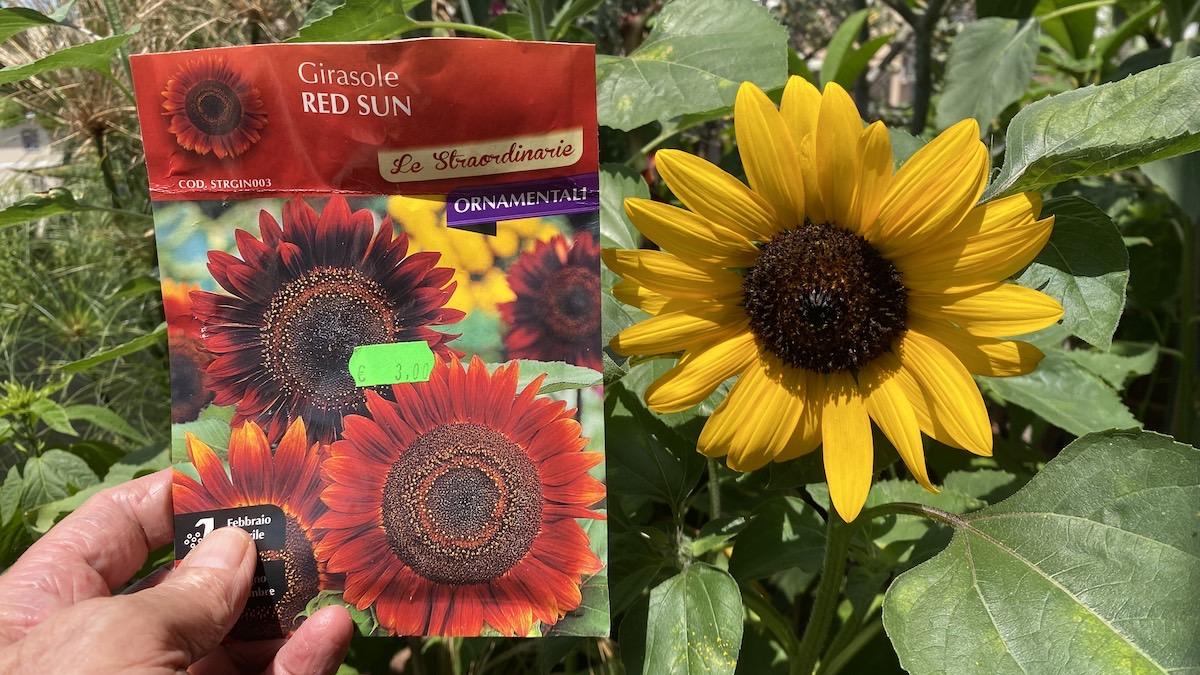 There is a strand of thought out there that believes any and all legislation to do with seeds is evil and unnecesary....