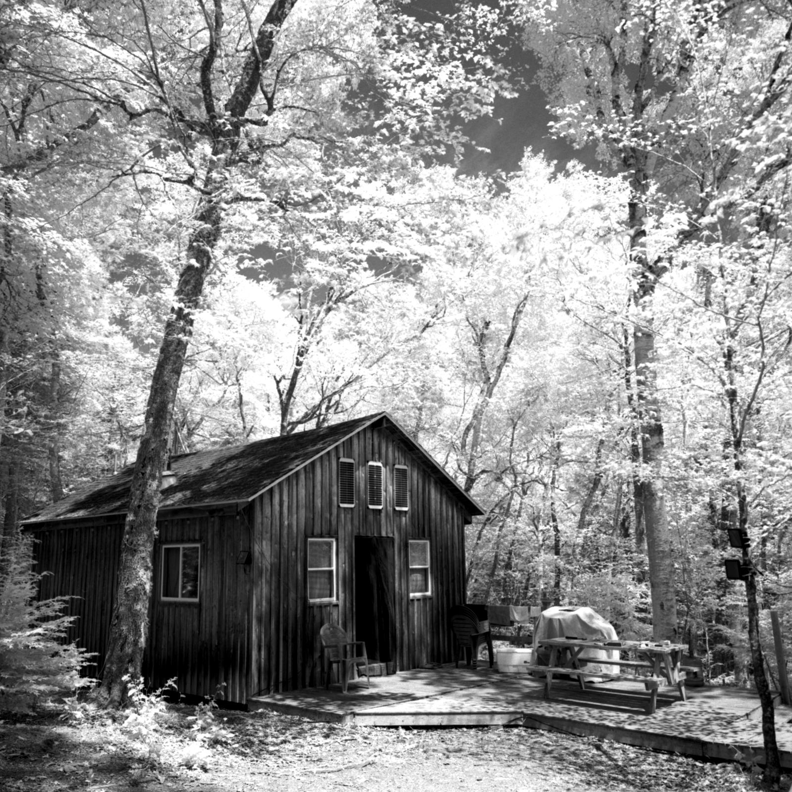 A black-and-white infrared photo showing white, almost glowing trees with a dark, wood cabin underneath the canopy.