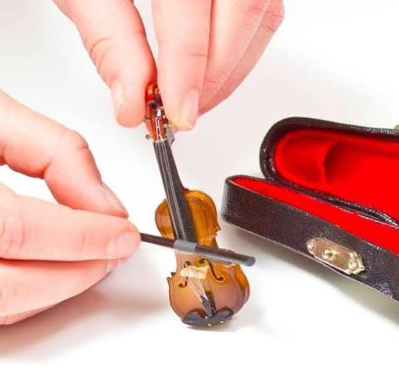 World's Smallest Violin.