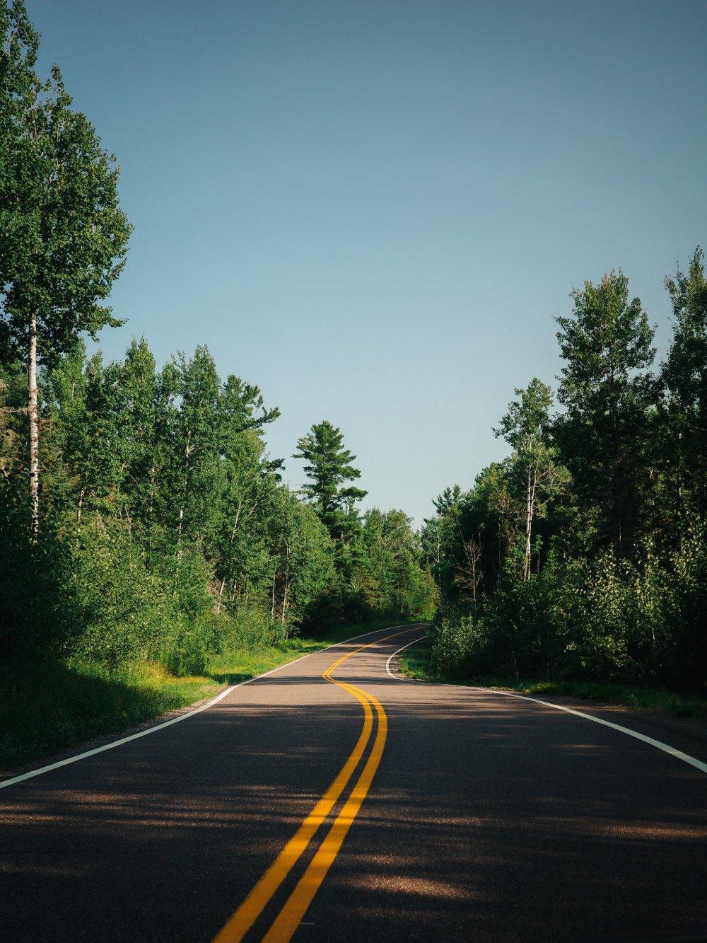 Windy Road Through The Forest - Minnesota