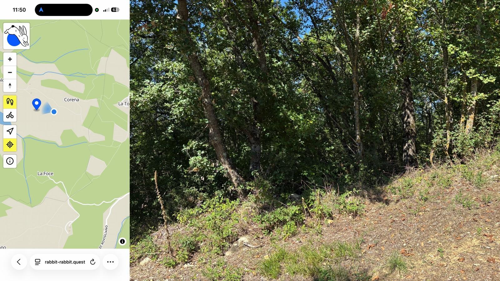 Rabbit Quest Geohashing 20260914-W-B2M8NE* On foot* 43.4747, 12.1380* 14 September 2026* 424.32 ppm CO2* OpenStreetMa...