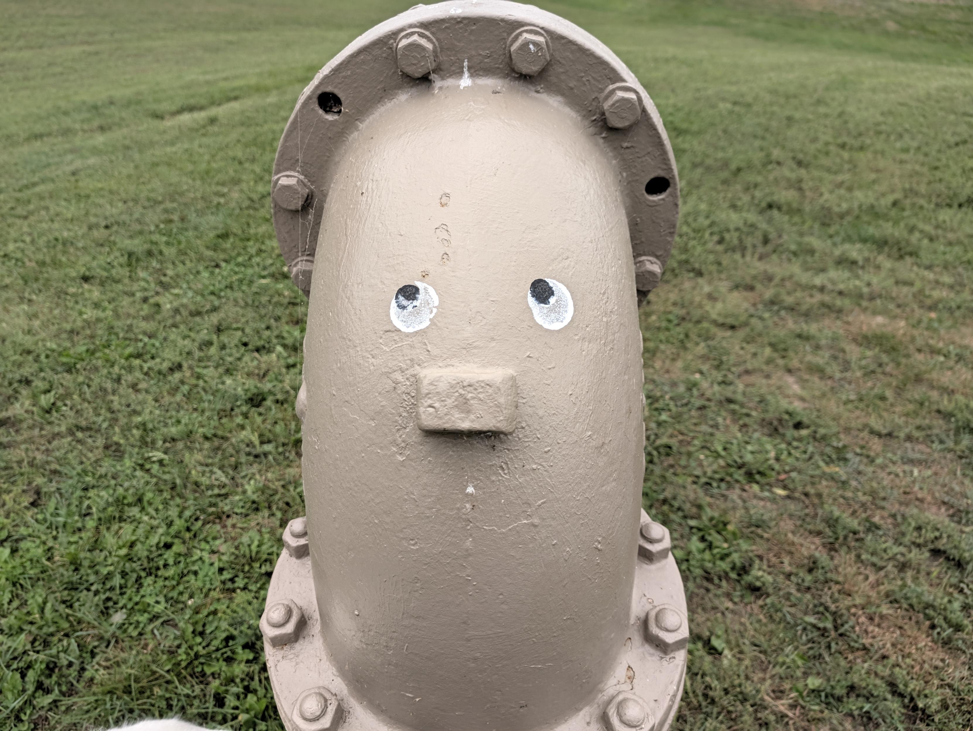 A painted metal pipe elbow decorated with googly eyes to resemble a face.