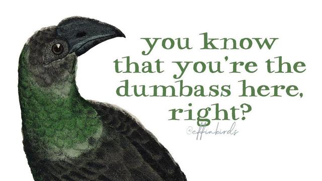A painting of a bird next to the words "you know that you're the dumbass here, right?"