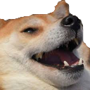 doggo_laugh