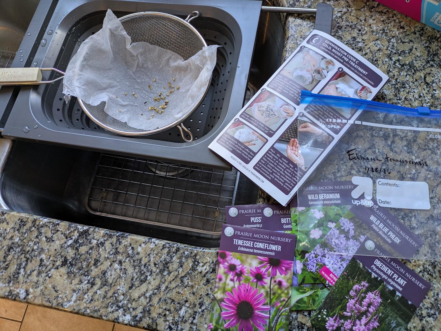 A setup for coffee filter/paper towel moist germination includes a colander, a mesh strainer, paper towels, ziploc bags, and seeds