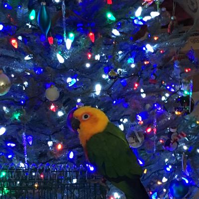 pomegranate_stew@kind.social