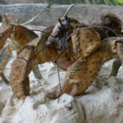 silentoptimist@kind.social