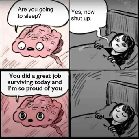 Four panel comic.

Panel 1: A pink cartoon brain says, "Are you going to sleep?"

Panel 2: A long-haired person lying in bed says, "Yes, now shut up."

Panel 3: The brain says, "You did a great job surviving today and I'm so proud of you."

Panel 4: The person in bed has closed eyes and a smile.