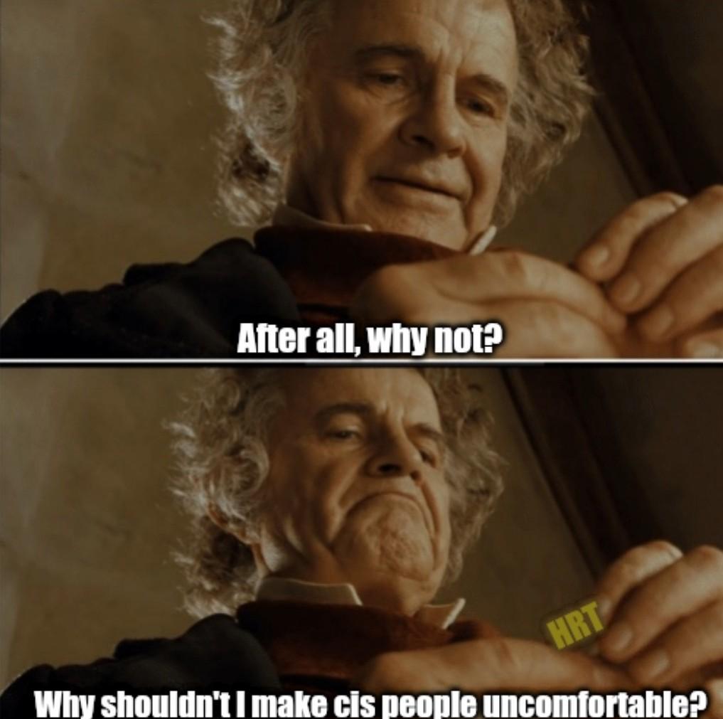 Two panel meme of Bilbo Baggins with the One Ring. In the top panel he looks contemplatively at the ring, with the caption "After all, why not?" In the bottom panel he is doing an epic frump at the ring, with the caption "Why shouldn't I make cis people uncomfortable?" and the ring has been replaced with "HRT"