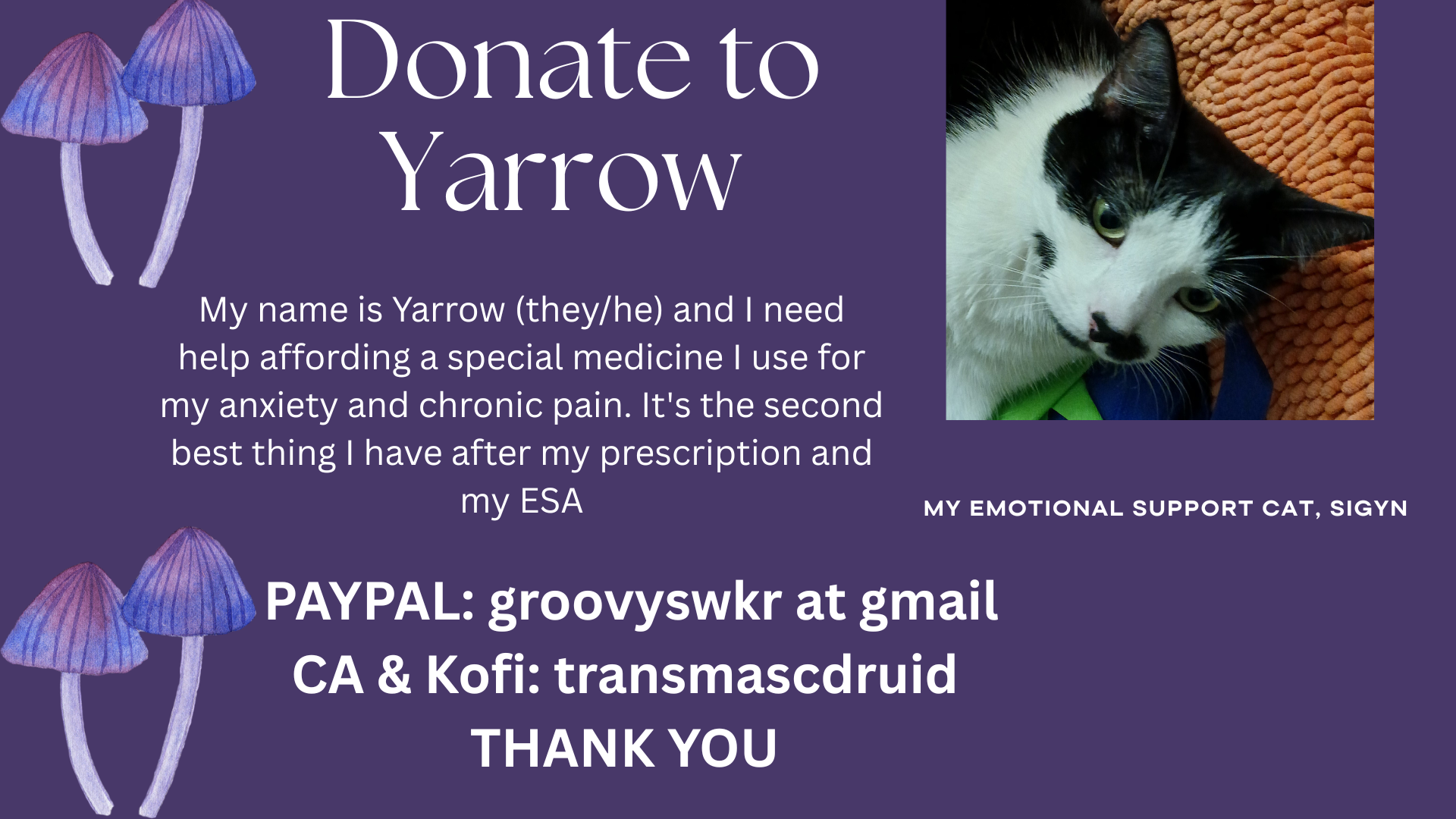 A mutual aid banner featuring clip art of mushrooms and the photo of a black and white cat. Text reads: 
My name is Yarrow (they/he) and I need 
help affording a special medicine I use for my anxiety and chronic pain. It's the second best thing I have after my prescription and my ESA. 
PAYPAL: groovyswkr at gmail
ny CA & Kofi: transmascdruid
THANKYOU