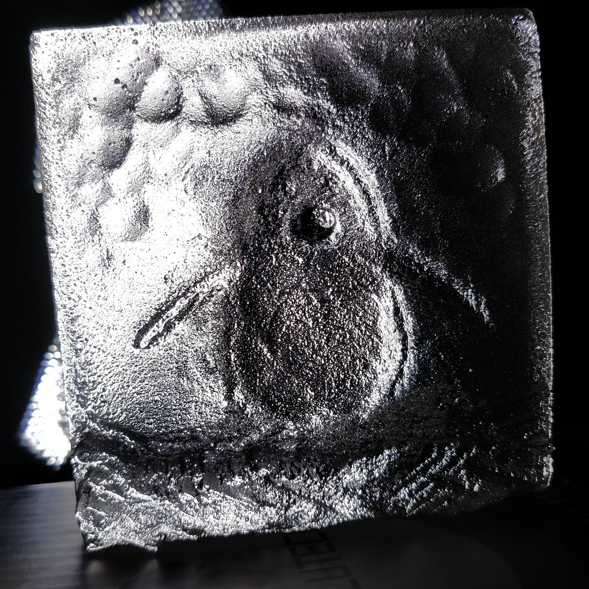 glass block with an embossed penguin