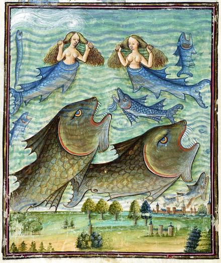 #Waterworld. Livre de la Vigne nostre Seigneur, France c. 1450-1470. Bodleian Library, MS. Douce 134, fol. 42v.
#medieval #MedievalArt