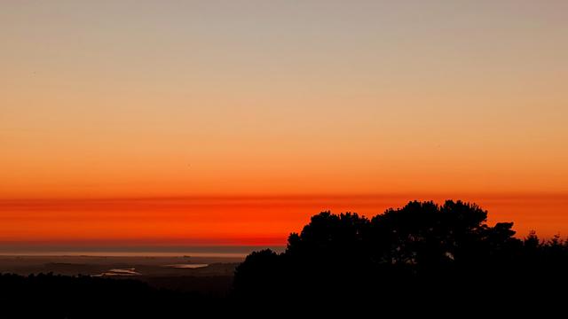 A dark orange band of color on the horizon. Dark tree tops at the bottom.