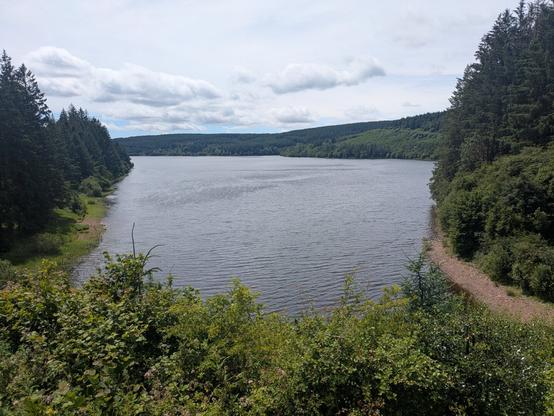 A lake from up high, surrounded by greenery