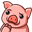 :cerdito: