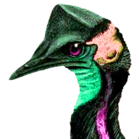 :cassowary: