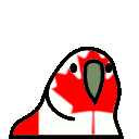 :canparrot: