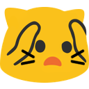 :blobcat_not_like_this: