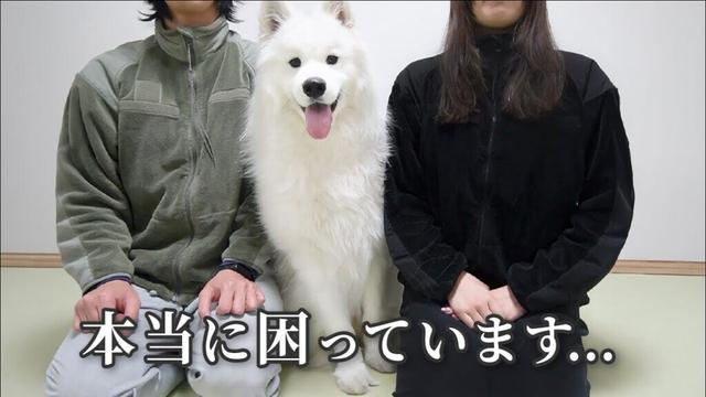 【注意喚起】皆様にご心配をおかけしている件について…