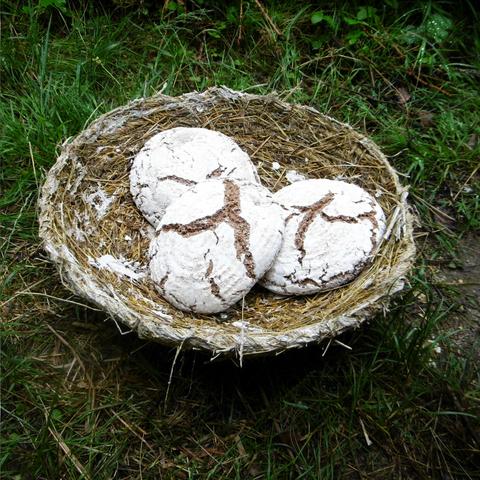 Auf einer grünen Wiesenfläche steht eine sehr große Schale aus Heu. Sie misst 50 cm im Durchmesser. In der Schale liegen drei frische Heubrote.