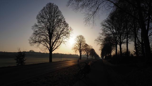 Leere Bundesstraße am Morgen. Ein Fahrrad steht auf einem Radweg. Die Bäume am Straßenrand sind als Schattenrisse zu erkennen.