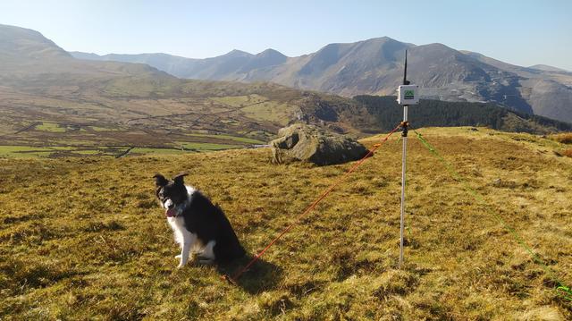 Nettle the collie sat next to a walking pole rigged with guy lines. Atop the walking pole is mounted a box with an antenna, the box has a Meshtastic sticker on it. The seen is full of hills and mountains in lovely sunshine.