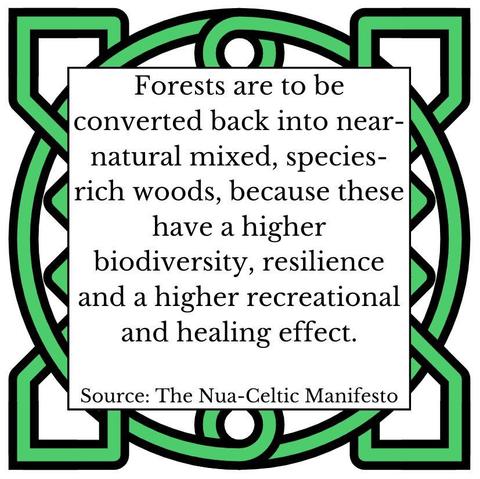 Forests are to be converted back into near-natural mixed, species-rich woods, because these have a higher biodiversity, resilience and a higher recreational and healing effect. Source: The Nua-Celtic Manifesto