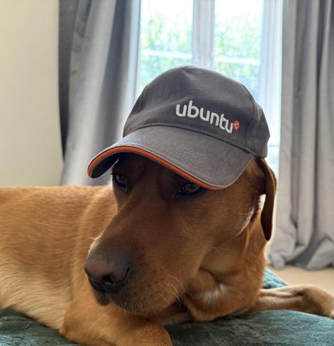 Ted wearing an old ubuntu cap