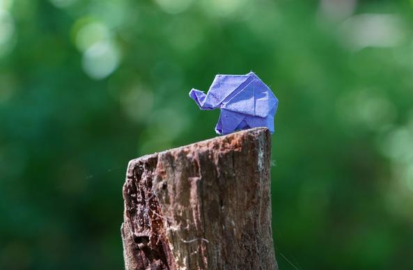 Ein kleiner lilafarbener Origami-Elefant steht auf einem verwitterten Baumstumpf. Er steht am Rand und guckt nach links. Man sieht ihn von der Seite. Im Hintergrund sehr unscharf das Grün der Bäume drumrum.