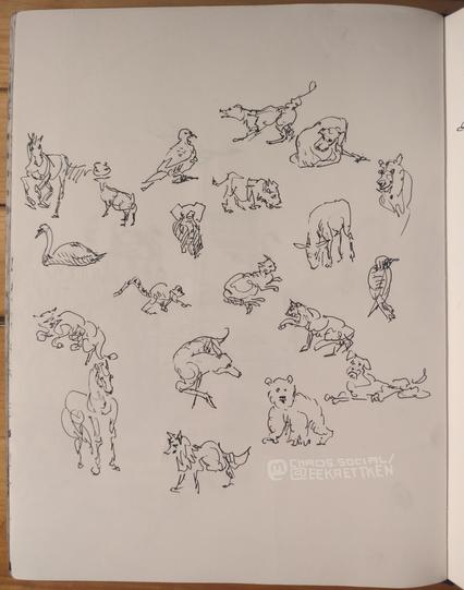 Black Fineliner on paper 

Various sketches of animals