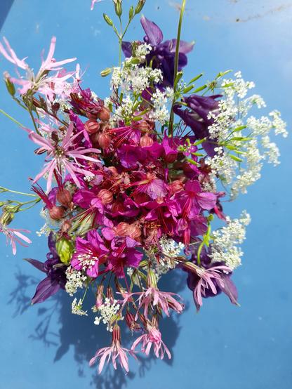 The same bouquet from above on a blue table.