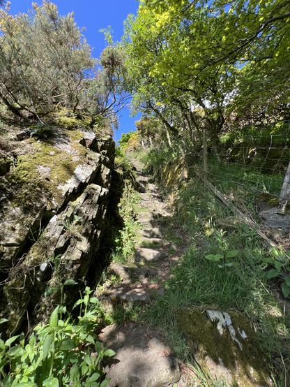 Stairs out of stone up an incline.