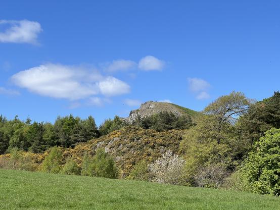 View of the Craig over some horse bushes and wood.