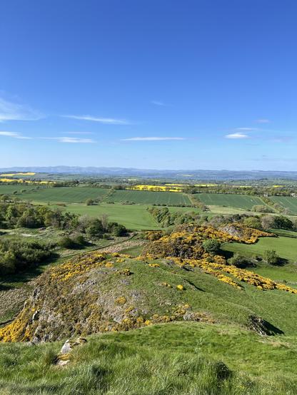 View from top of the hill down over horse bushes into fields far away.
