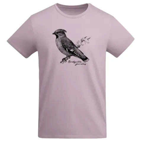 das bild zeigt ein t-shirt mit einem schwarzen siebdruck eines seidenschwanzes (bohemian waxwing)