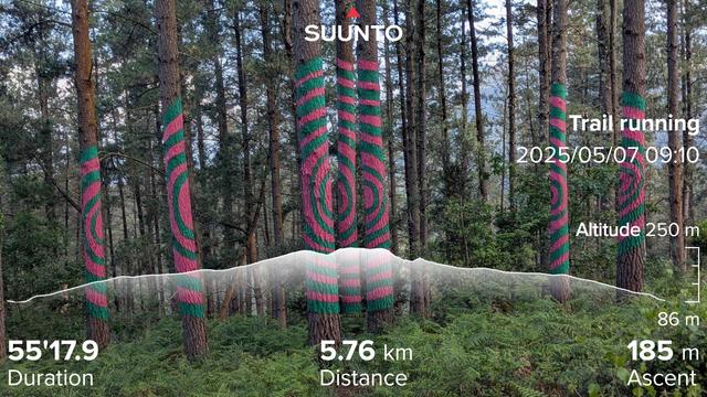Tree trunks painted with bits of a red lines, that looks like random lines until you stand in the correct point and the lines become a few circles. With my running stats imprinted on top