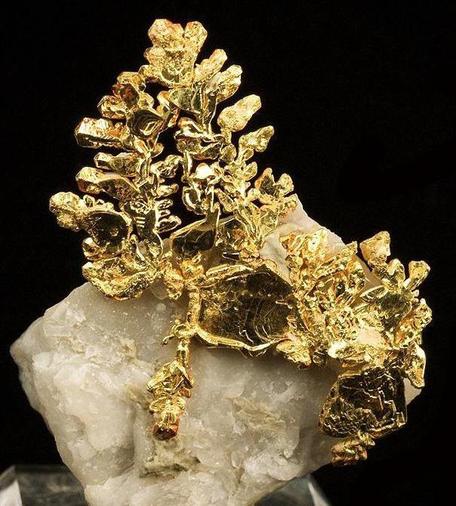 Eine goldene Mineralformation, die auf einem grauen Gesteinsblock sitzt. Die Struktur sieht aus wie ein verzweigter Ast mit kleinen, goldenen Blättern und einer unregelmäßigen Oberfläche. Der Hintergrund des Bildes ist schwarz.