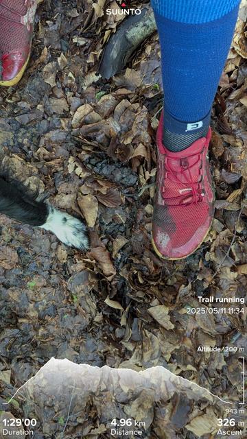 My red shoes and Paddy's one white paw standing on chutney aka wet fallen leaves. With my running/hiking stats imprinted on top
