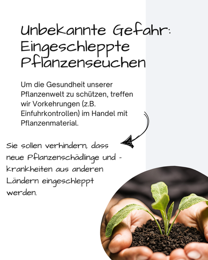 Das Bild zeigt zwei weiße Hände, die Erde halten. In der  Erde steht eine Jungpflanze. Über dem Bild steht: 

Unbekannte Gefahr: Eingeschleppte Pflanzenseuchen
Um die Gesundheit unserer Pflanzenwelt zu schützen, treffen wir Vorkehrungen (z.B. Einfuhrkontrollen) im Handel mit Pflanzenmaterial.
Sie sollen verhindern, dass neue Pflanzenschädlinge und -krankheiten aus anderen Ländern eingeschleppt werden.